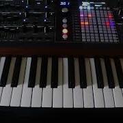 Step Sequencing On The Polybrute