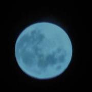 Birdbath Moon