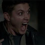 Supernatural A Cat Scares Dean 4x6