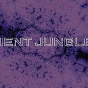 Ambient Jungle DJ Mix 016 Heavenly Atmospheric DNB Mix