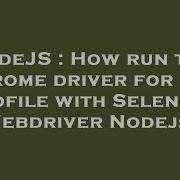 NodeJS How Run Two Chrome Driver For One Profile With Selenium Webdriver Nodejs