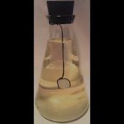 Visual Demonstration Of Dynamic Equilibrium Saturated Sugar Solution With Sugar Cube