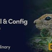 Install Configure Cloudinary In Go Dev Hints