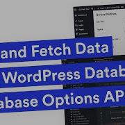 Save And Fetch Data From WordPress Database Using WordPress Options API