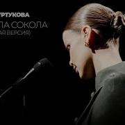 Татьяна Куртукова Я любила сокола Акустическая версия Single 2025