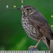 Replace Text In Multiple Files With Ease