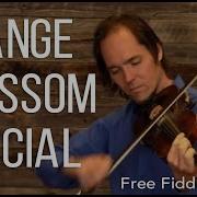 How To Play Orange Blossom Special Free Fiddle Lesson
