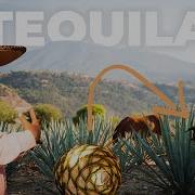How Tequila Is Made From Agave Fields To Glass