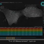 TomoAnalysis Tutorial 7 Reviewing Results And Exporting