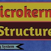 Microkernel Structure Microkernel Structure In Operating System Structures Of Operating System
