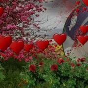 ALİHAN SEVDA MEVSİMİ