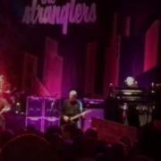 Get A Grip On Yourself Live The Stranglers Live At The Guildhall Southampton 20 03 17