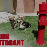 DIY Dog Fire Hydrant