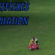 Dad Reflexes Compilation