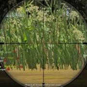 COD2 Sniper Server Player Using Wallhack