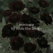 Hurricane By While She Sleeps Lyrics