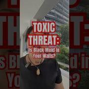 Black Mold WARNING The Silent Killer Hiding In Your Home
