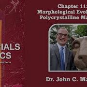 Morphological Evolution In Polycrystalline Materials Chapter 11 Materials Kinetics