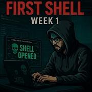 First Metasploit Shell Beginner Hack Walkthrough Script Kitty To Pro Hacker