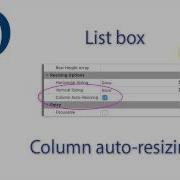 Listbox Column Auto Resizing
