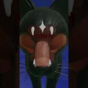 Creepy Morph WCUE EDIT Roblox Warriorcats Wcue Wcueedit Robloxgames Shorts Gaming Warriors