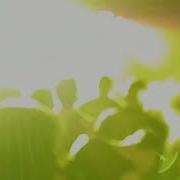 156 Silence Performance 4 19 25 A Bloom In Heaven Tour South Side Music Hall Dallas TX