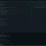 525 Final Demo Buffer Overflow Shellcode Injection