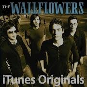 Sleepwalker ITunes Originals Exclusive