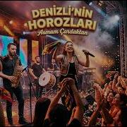 Denizli Nin Horozları Asmam Çardaktan Anatolian Synthesis