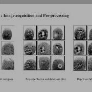 Fingerprint Recognition