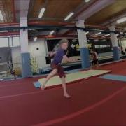 New Tricks Mini Sampler