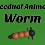 Procedural Animation Of Worm Unity 3d