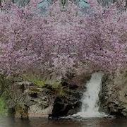 Glimpse Of Spring An Original Piano Piece By Andrew Hardie