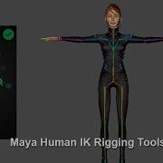 Human IK Skeleton Control Rig