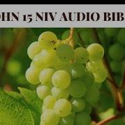 John 15 NIV AUDIO BIBLE With Text
