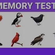 VISUAL MEMORY TEST Train Your Visual Memory