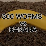 SDGs 300 Worms Vs Banana Vermicompost Earthworm