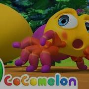 Itsy Bitsy Spider CoComelon Nursery Rhymes Kids Songs Time For Music