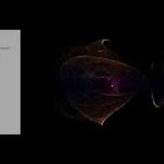 1000000 GPU Particles