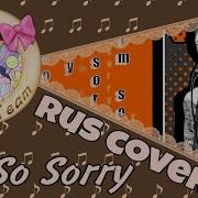 Other I M So Sorry SugarTeam Rus Cover