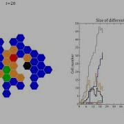 Cellular Automata Neurosphere Development Tumor Stopped By Encapsulation Hexagonal Lattice
