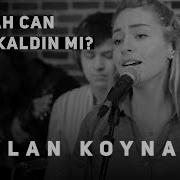 Ceylan Koynat Kalakaldın Mı Cover