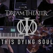 This Dying Soul Dream Theater Multi Instrumental Cover By Owen Davey