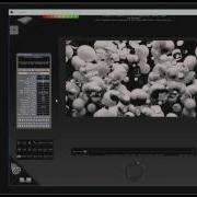 Ai Timecode