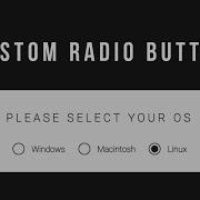 Design A Custom Radio Button Using HTML And CSS