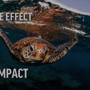 Ripple Effect