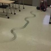 Standing Waves With A Slinky