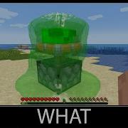 Minecraft Wait What Meme Part 45 Realistic Minecraft Slime