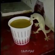 ULTIMATE DANK MEMES COMPILATION 31