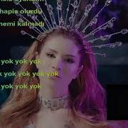 Feride Hilal Akın Yok Yok Sözleriyle Feridehilalakın Yokyok Yeniparça Sözleriyle